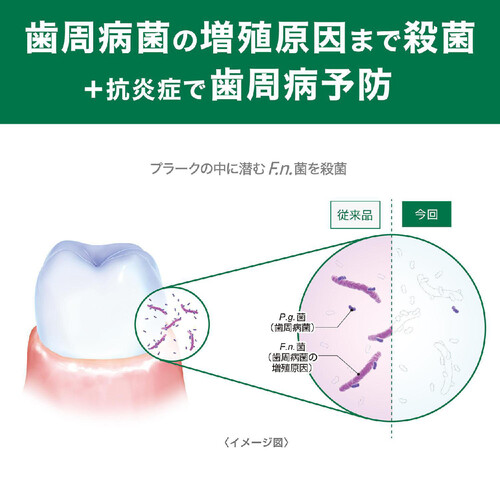 サンスター ガムプラス デンタルペースト ハーブミント 120g