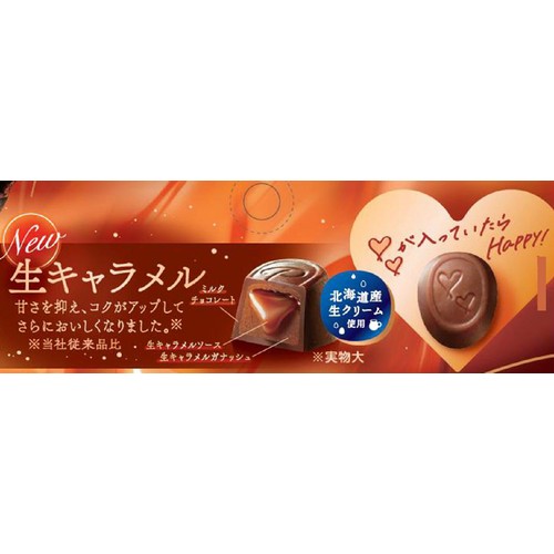 不二家 プレミアムルック 生キャラメル パウチ 45g