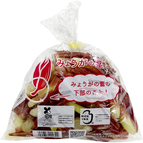 高知県産 もったい茎(みょうがの茎) 300g 1袋