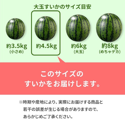 千葉県産 すいか 4.5kg 1玉