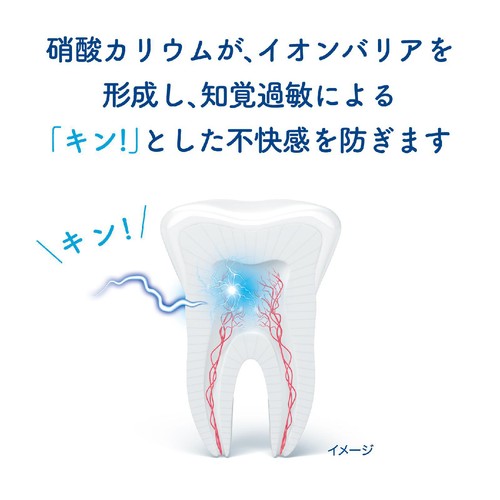 ヘイリオン シュミテクト トゥルーホワイト ミント 80g