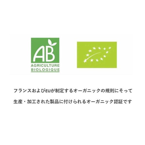 ピカール BIO マンゴー角切り【冷凍】 450g