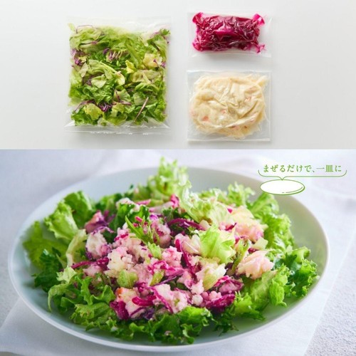 アール・エフ・ワン ふんわりレタスと赤野菜のポテトサラダ 2人前 約340g