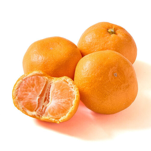 和歌山県産 ギュッと濃厚 吉田農園の有田三代みかん 10-12個 L-Mサイズ