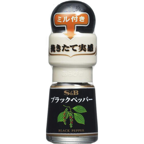 美苗 ブラックペッパー Black pepper アロエ 多肉植物 ラベル付き 美苗 ブラックペッパー Black pepper アロエ 多肉植物 ラベル付き 美苗