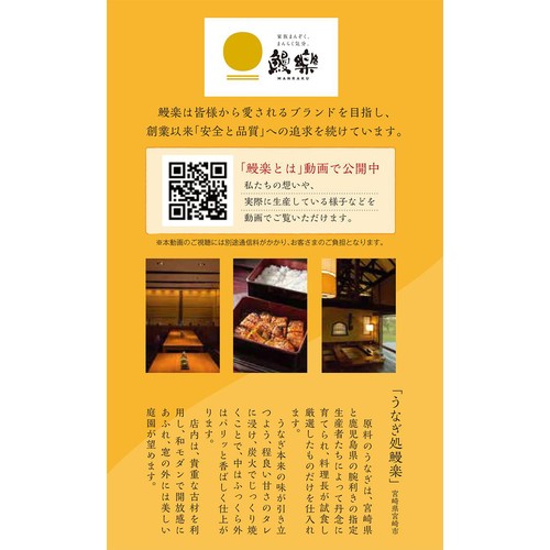 【冷凍】鰻楽 九州産 うなぎ長焼 大 2尾セット 400g