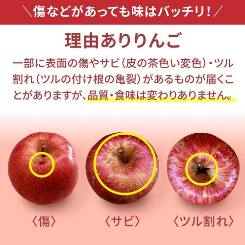 青森県産 葛西さんの理由ありサンふじりんご 4-6個 1kg 1袋 Green