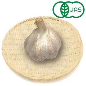 千葉県産 にんにく 24キロ 〇〇オク質問者様 300x300.jpg