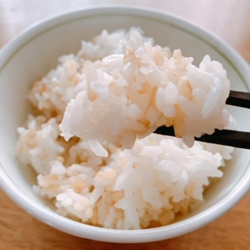 発芽玄米 静岡県産コシヒカリ使用 半生発芽玄米 120g x 5袋