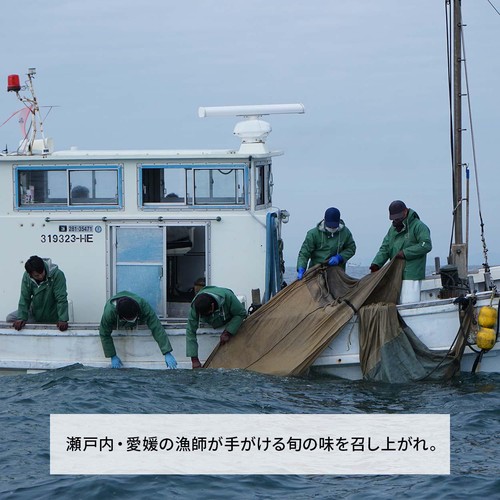 ［鮮度+］一度も凍らせていない新物釜揚しらす【冷蔵】 50g