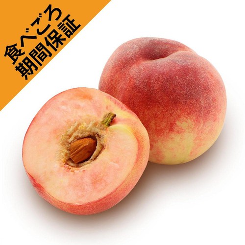 [食べごろ+] 長野県産 もも(あかつき) 大玉 2個 520g