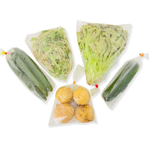 千葉県千葉市産 ぐー農園おまかせ野菜セット 5種 1袋