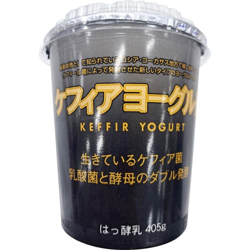 ヨシホゲ タカハシ乳業 ケフィアヨーグルト 405g Green Beans | グリーン