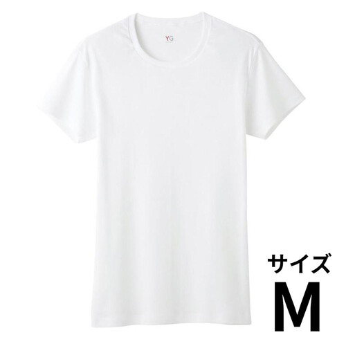 グンゼ YG 紳士 ピュアコットンクルーネックTシャツ M ホワイト