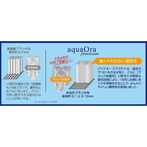 マルマン アクアオーラプラチナ コンパクト 1本 Green Beans