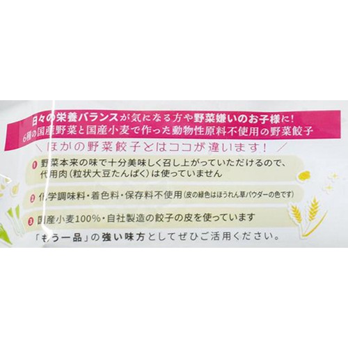 美勢商事 動物由来原料不使用の野菜餃子【冷凍】 12個入