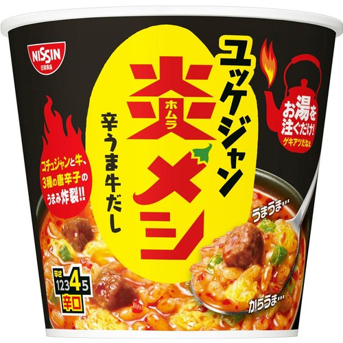 日清食品 炎メシ ユッケジャン 89g