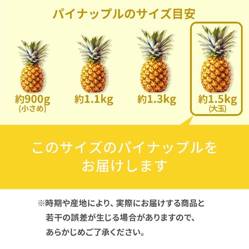 フィリピン産スミフル 甘熟王ゴールドプレミアムパイン 大玉 1.5kg 1個
