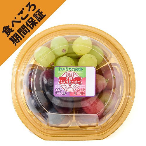 ［食べごろ+］長野県産 たけむらふぁーむのタネなし皮ごと食べられる つぶつぶぶどう3種ミックス 300g