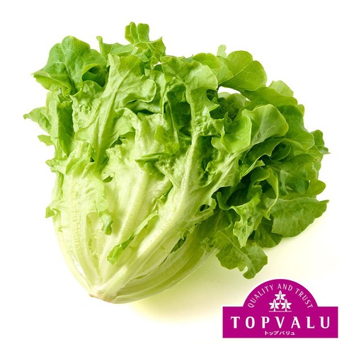 トップバリュ減の恵み 茨城県産 モコヴェール 90g