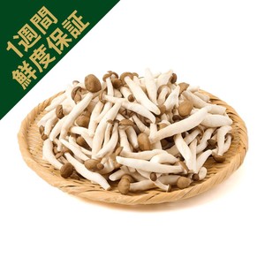 鮮度+] 長野県産ミスズライフ そのまま使える里山ぶなしめじ 500g 1袋