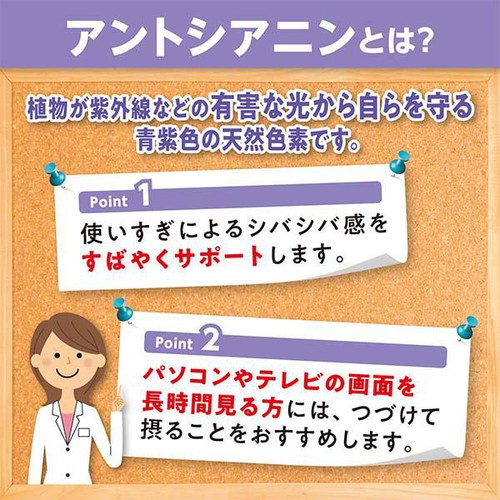DHC  ブルーベリーエキス 120粒(60日分)