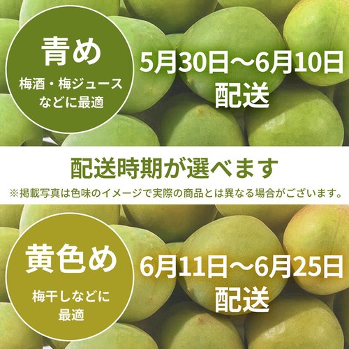 和歌山県産 南高梅 500g 1袋