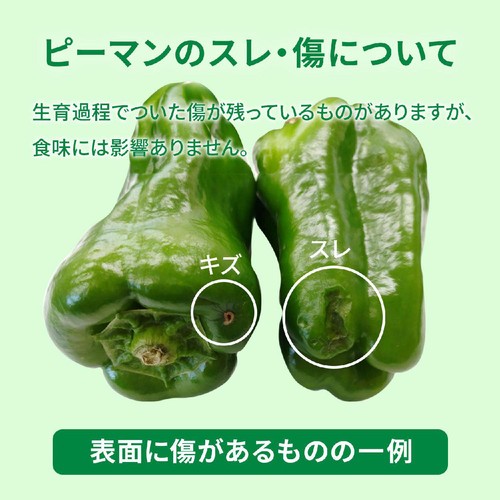 国内産 ピーマン 450g 10-12個 1袋
