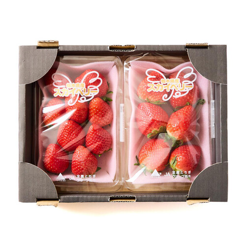 栃木県産 いちご(スカイベリー) 箱 270g 2パック入 1パック当たり6～12