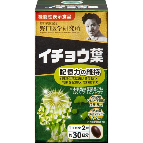 野口医学研究所 イチョウ葉 60粒