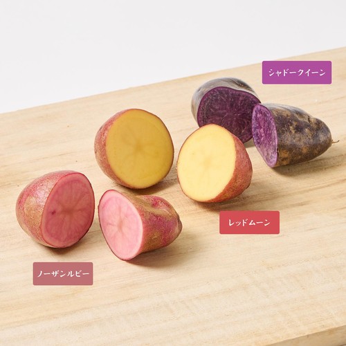 北海道産森浦農場 カラフルじゃがいも 350g x 3品種