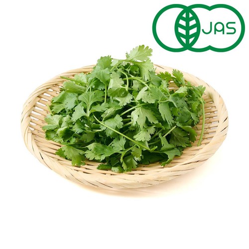 【有機】茨城県産 HATAKEカンパニー パクチー 20g
