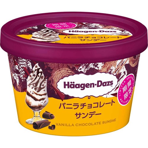 ハーゲンダッツ ミニカップ バニラチョコレートサンデー 110ml
