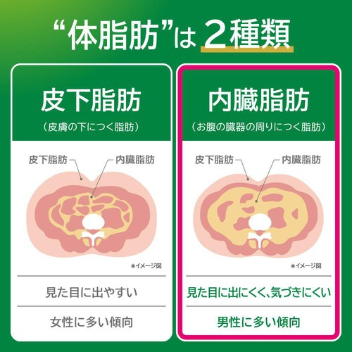 キリン ヘルシア緑茶 1ケース 350ml x 24本 Green Beans | グリーン