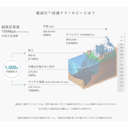 アンレーベル ラボ ダメージケア 集中美容液シャンプー つめかえ用 ビタミンC 310mL