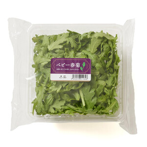 千葉県産 さんぶファーム パクチーサラダセット 1袋 Green Beans