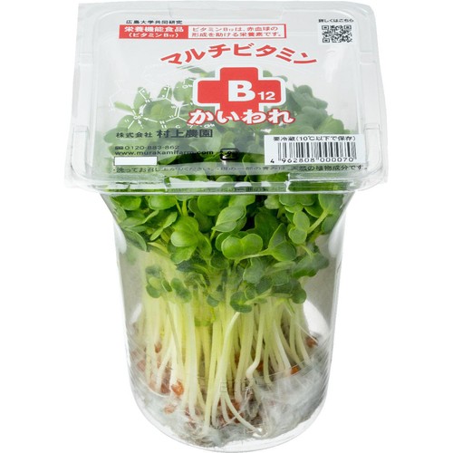 村上農園 マルチビタミンB12かいわれ 1パック