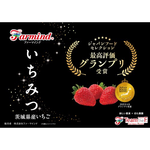 茨城県産ファーマインド 小粒いちご(いちみつ)20粒 210g パック Green
