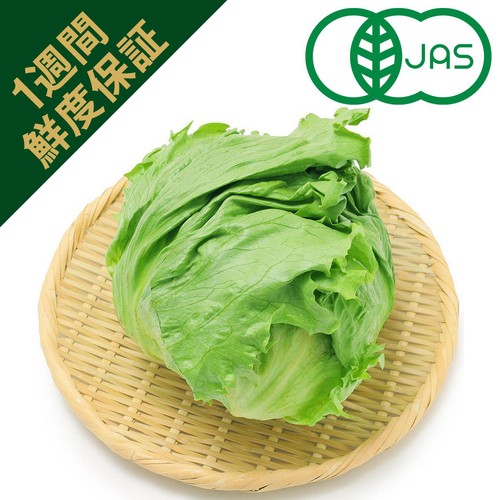 レタスです　レタス様以外購入NGでお願いします 鮮度+]【有機】長野県産 レタス 1個 Green Beans | グリーンビーンズ
