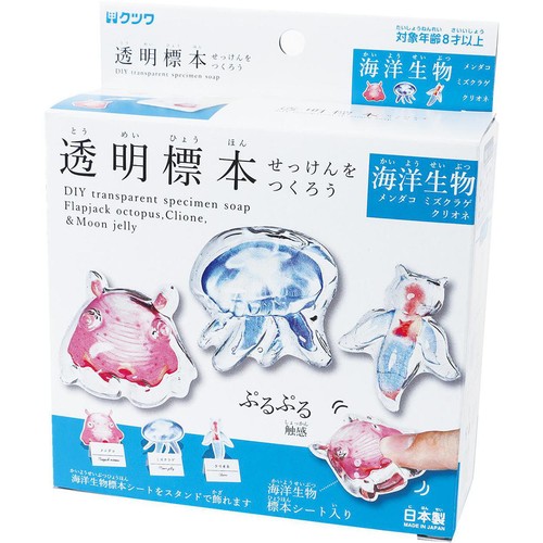 クツワ 透明標本 せっけんをつくろう 海洋生物 工作キット 8才