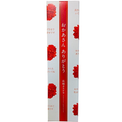 杉谷本舗 母の日カステラ 10切れ