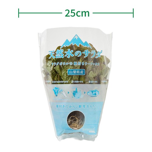 山梨県産 レッドバタビア 根付きリーフレタス 100g
