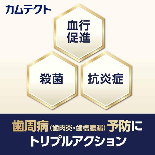 gsk カムテクトプレミアム +ホワイトニング 95g