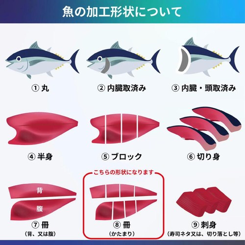 ［鮮度＋］【冷蔵】 生青森サーモン刺身用冊(養殖) 150g