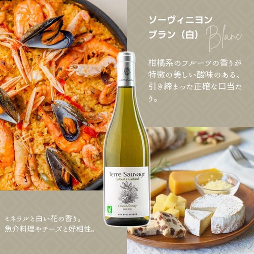 【フランス産】 Gilbert&Gaillard シャルドネ 750ml