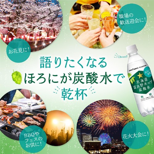 ポッカサッポロ 北海道富良野ホップ炭酸水 1ケース 500ml x 24本 Green