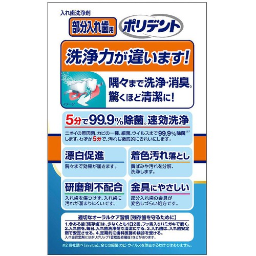 ヘイリオン 部分入れ歯用ポリデント 108錠