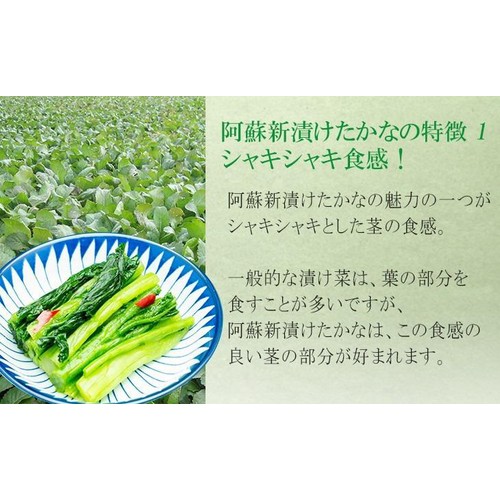 【冷凍】東日本フーズ さば阿蘇高菜チューブ 200g