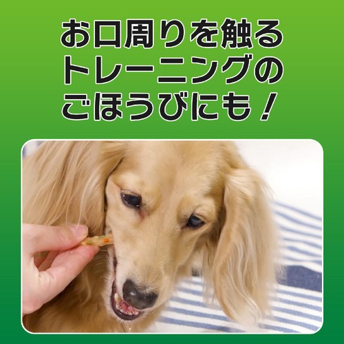 【ペット用】 ライオンペット PETKISS ワンちゃんの歯みがきおやつ 低脂肪 ササミスティック 野菜入り 超小型～小型犬用 60g