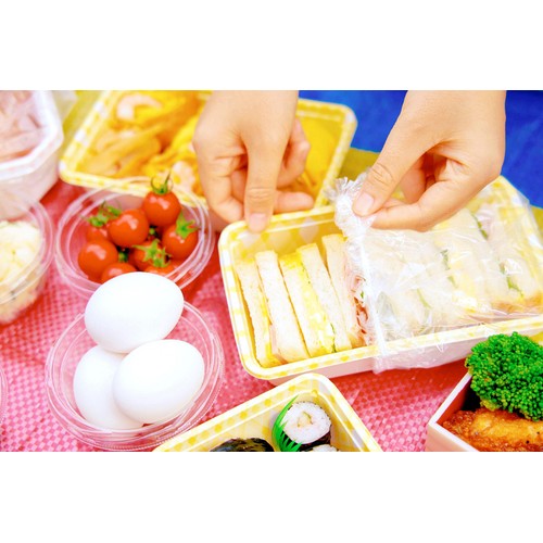 HINICHIJOU さっとかぶせる食品カバー 100枚入り